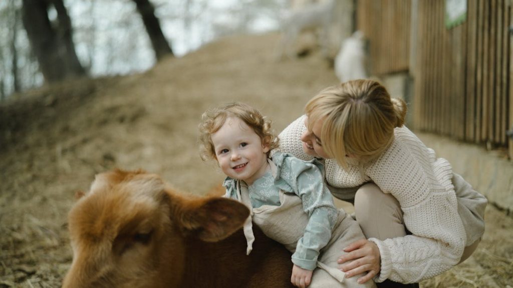 A candid moment of a mother and child bonding with a calf outdoors on a farm.